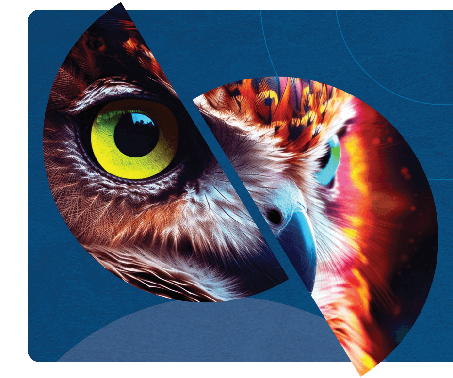 owl